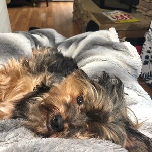 Meet your Posher, Rita